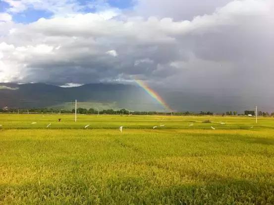 这对60后夫妻不惜卖掉公司，只为一间100多岁的白族老宅，连剑桥教授、《国家地理》都被他们吸粉