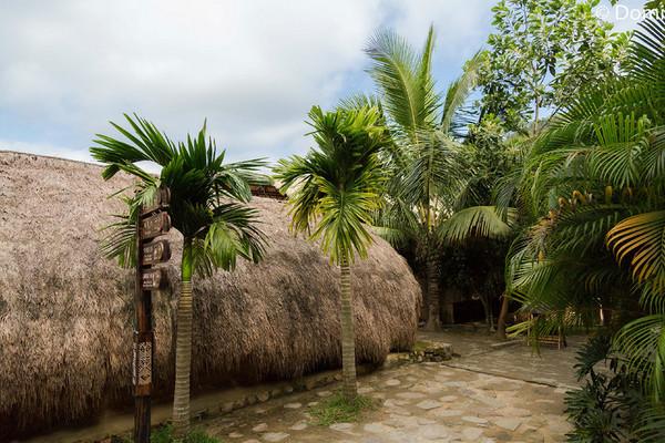 一顿海鲜大餐都有什么,海鲜大餐又便宜又营养又好吃