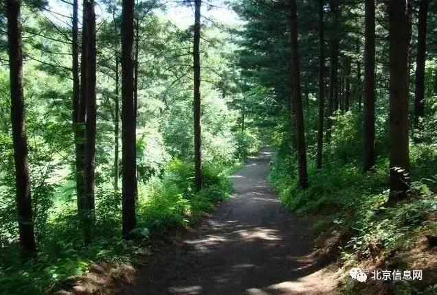 父亲节陪爸爸去玩耍,爸爸和宝贝间的互动父亲节