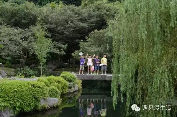 皇家加勒比邮轮海洋神话号,皇家加勒比邮轮海洋奇迹号体验