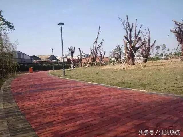 汕头十大公园,汕头公园免费排行榜