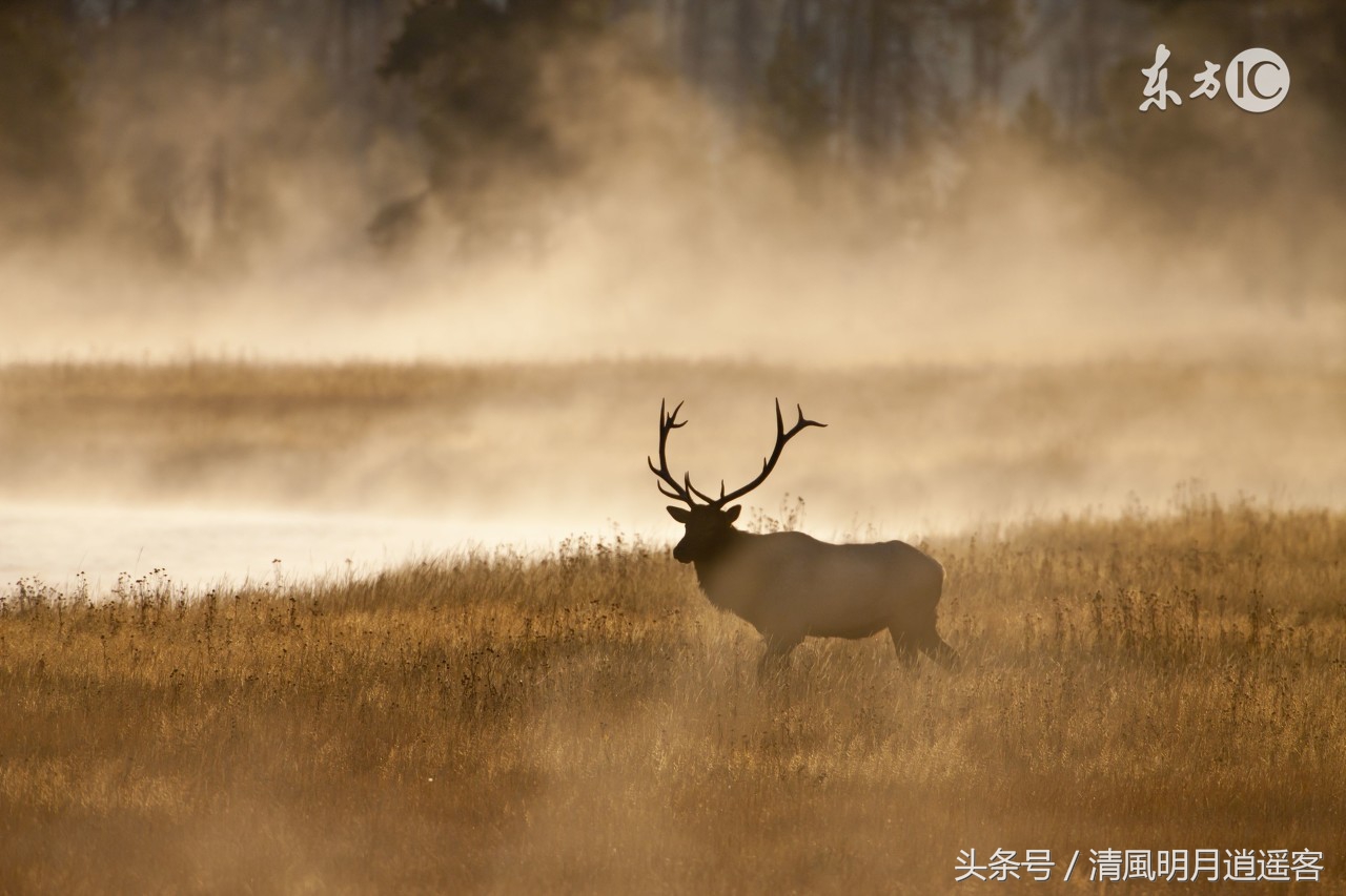 美国黄石国家公园自驾游游记,美国黄石国家公园的火山近况