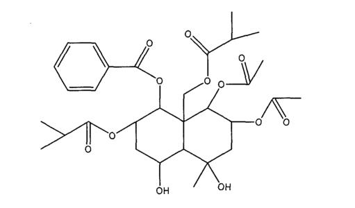 白癜风调理身体预防扩散的方法,教你如何调理白癜风