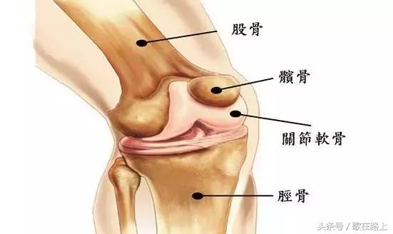 跑步会损伤膝盖吗正确的跑步方式,跑步膝盖最常见的损伤