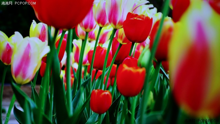 夏普aquos电视2008款,夏普电视还值得买吗