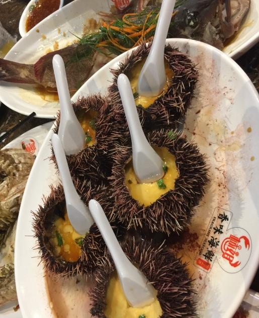 跟着大海去旅行三亚,记录旅行时光娃带老妈三亚看海