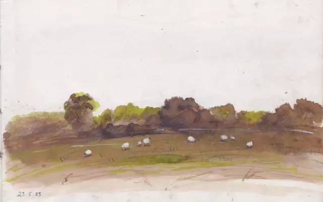 树丛|大眼睛小眼珠,呆萌可爱舍夫勒