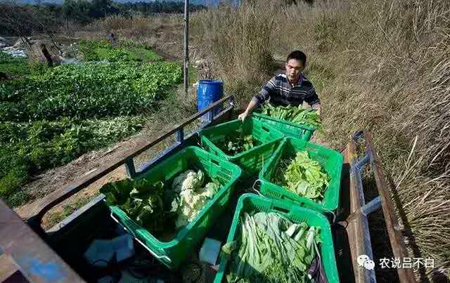 在农村做副业还是种地,在农村集镇做什么能挣到钱