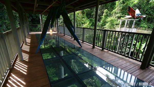 西双版纳在水一方泼水节,版纳哪里可以感受泼水