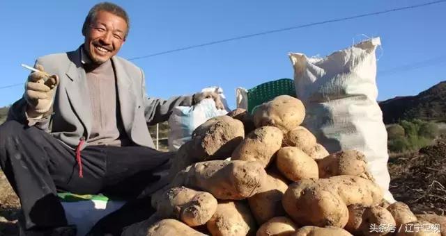 沈阳疫情有爆发的可能性吗,沈阳还会崛起吗