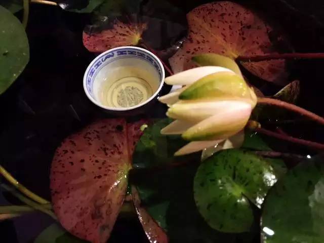 茶传媒采访视频,茶传媒深度访谈