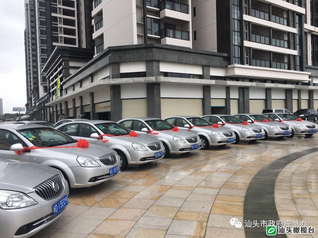 今天刚拿驾照可以开共享汽车吗,汕头共享汽车停车收费吗