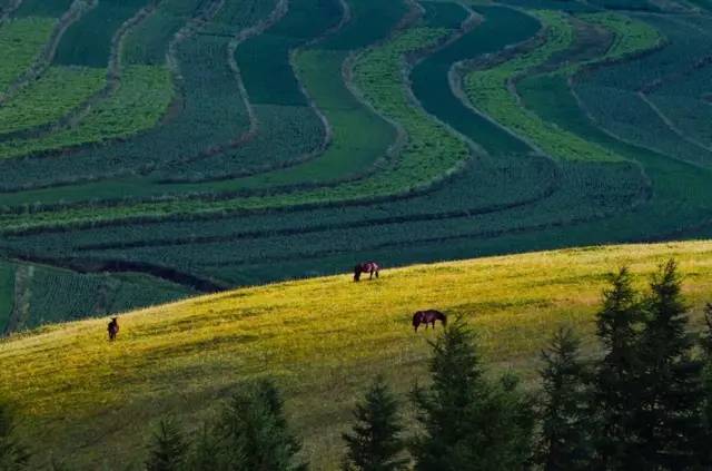 中国66号公路自驾游最佳路线图,中国66号公路起点和终点