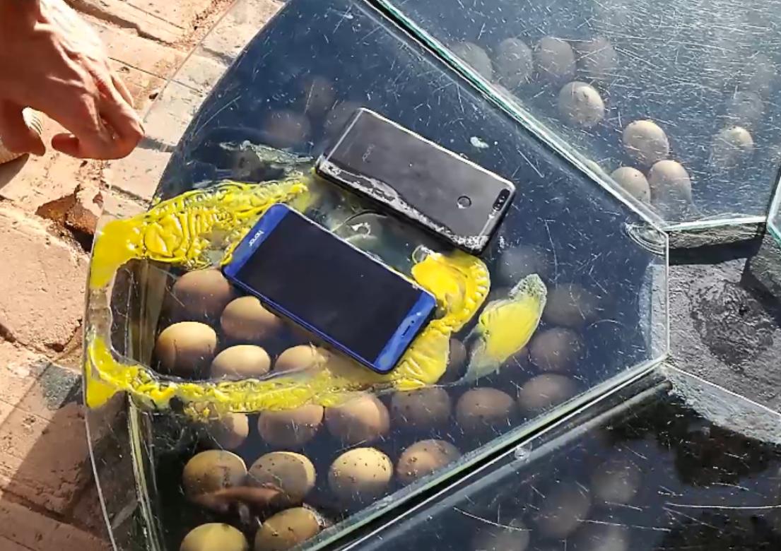 冬天的烤红薯烤玉米太美味了,烤红薯烤鸡蛋烤箱