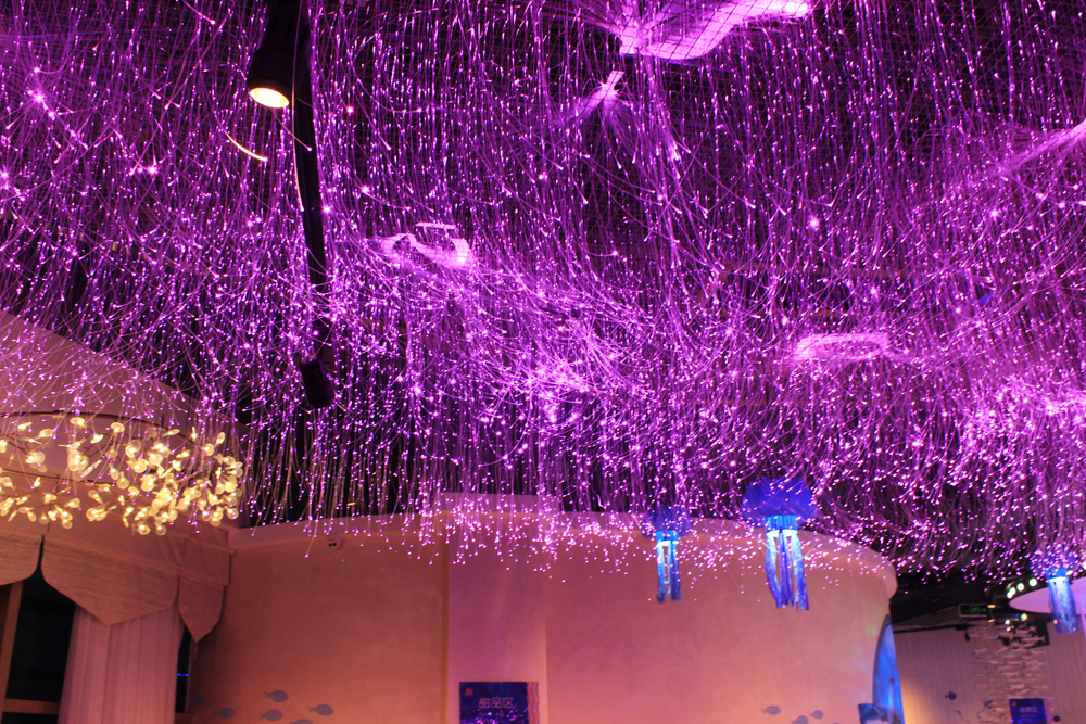 请客推荐去哪个饭店,三亚适合十个人聚餐的餐厅推荐