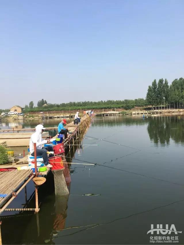 杨柏文钓鱼视频大全,杨柏文野钓视频完整版