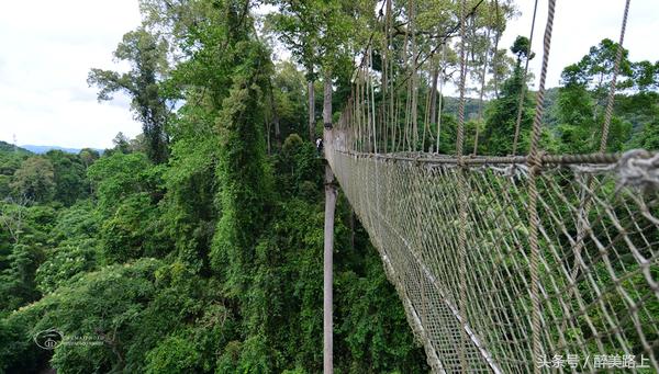西双版纳在水一方泼水节,版纳哪里可以感受泼水