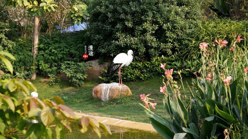 长隆亲子两大两小旅游攻略,珠海长隆横琴湾酒店亲子攻略