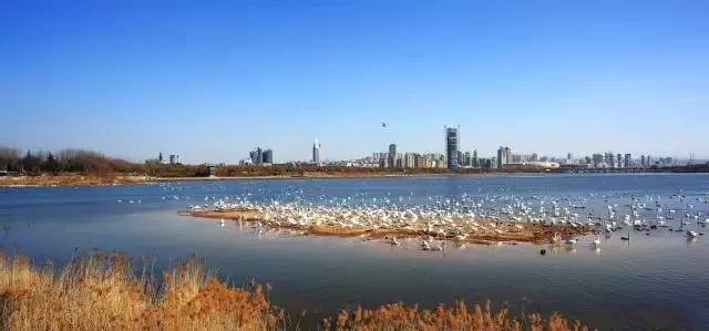 河南15个最值得去的景区排行榜,河南几个值得去玩的景区