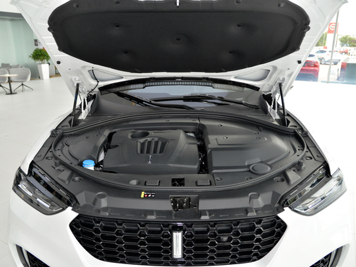 weyvv7哪款好,weyvv7真实优缺点