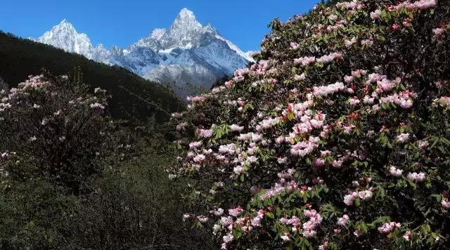 川西康定木格措,四川川西康定风景
