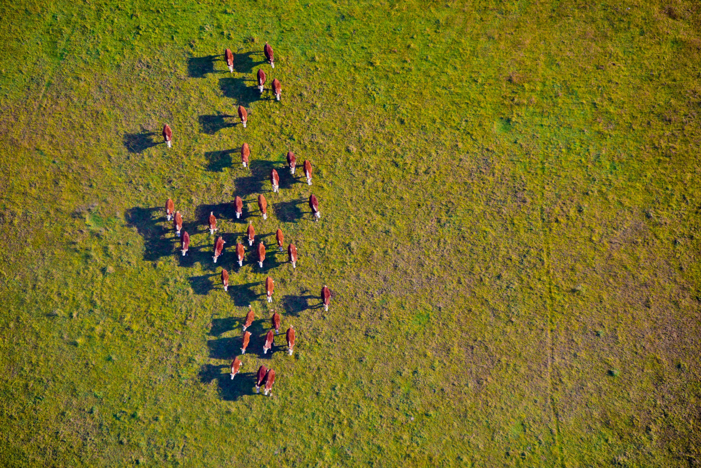 猎人谷热气球,悉尼猎人谷热气球攻略