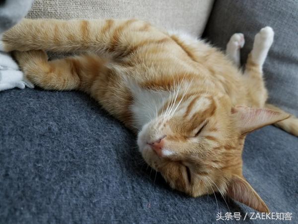 三星s8最新全面评测,三星galaxys8原神测评