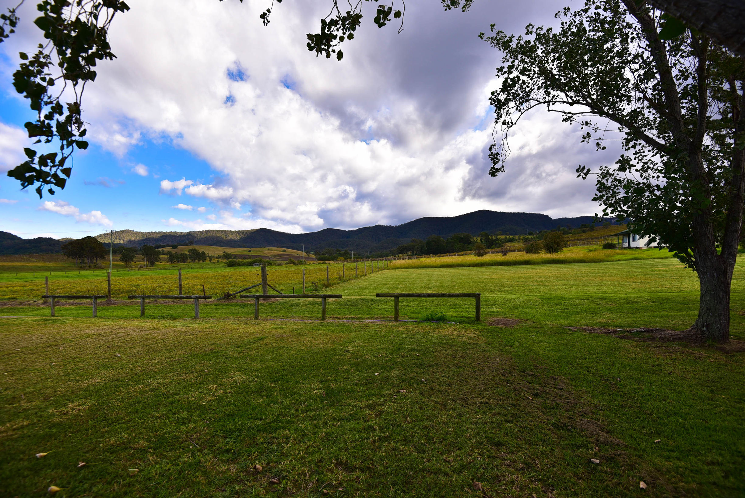 猎人谷热气球,悉尼猎人谷热气球攻略