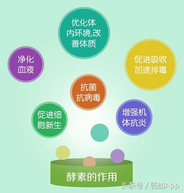 酵素能减肥吗有没有副作用,酵素能减肥吗效果好吗