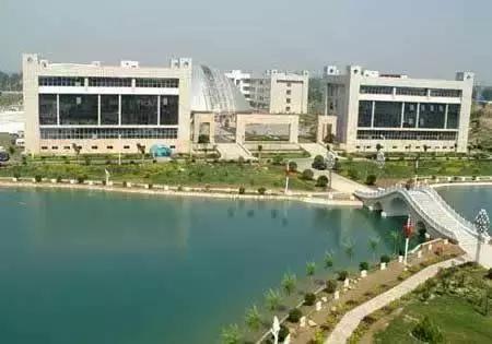 苦追姑娘8年后嫁给他,苦追五年