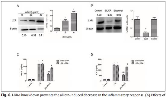 大蒜都上SCI,茅台改善肝癌也能上PlosONE,他们是怎么做到的?