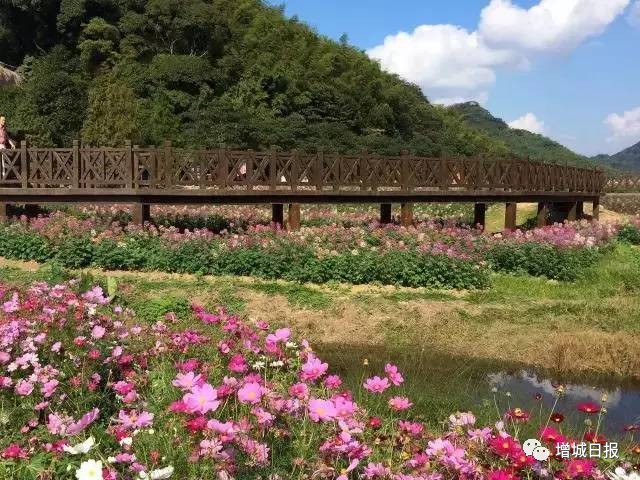 增城免费旅游景点攻略,增城必去十大免费景点小白云山