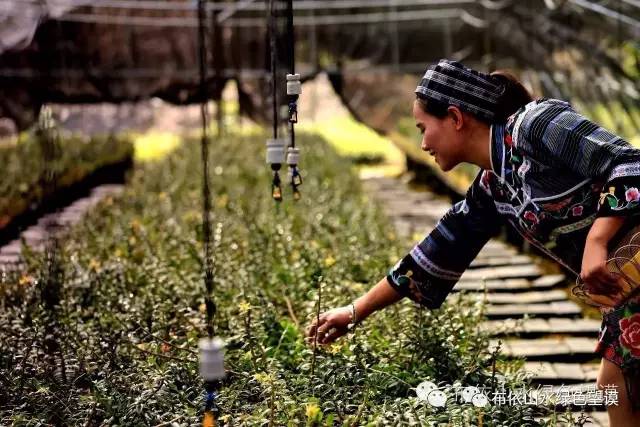 您好！我叫望谟，这是我的新名片~