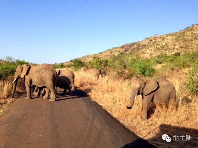 南非旅游照片,从南非回国的人