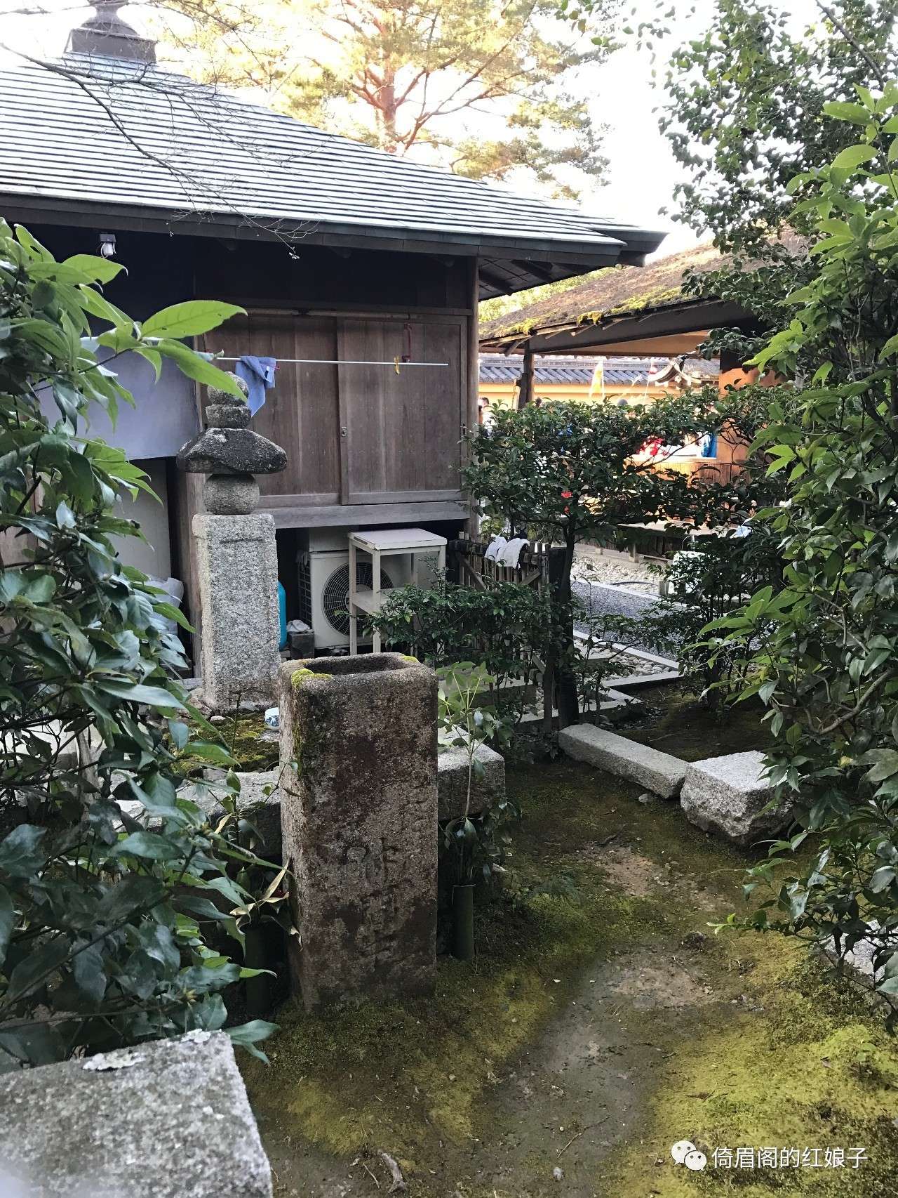 分裂与纠结——浮光掠影看日本