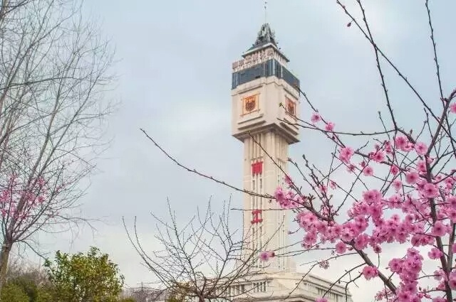 南工学校怎么样,南工学校