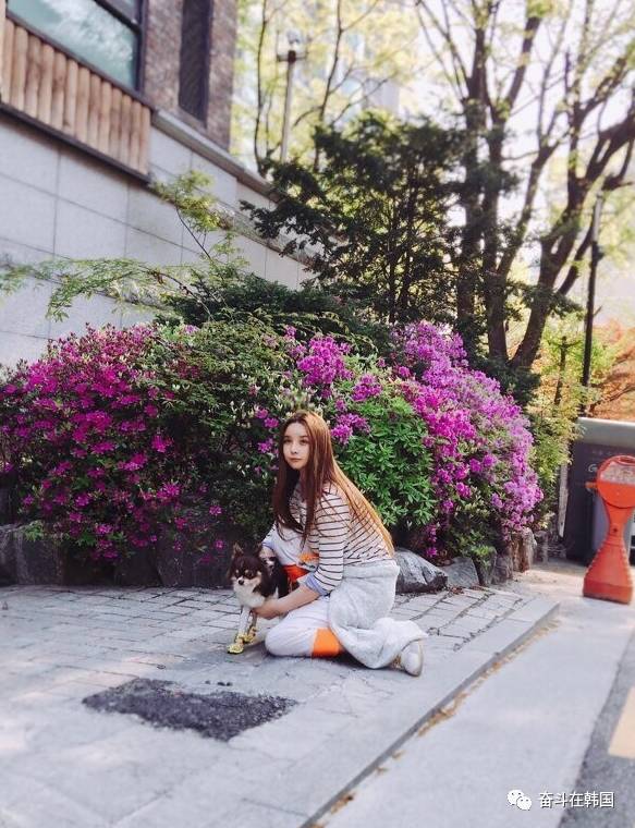 韩国整容变性明星,韩国变性艺人近况