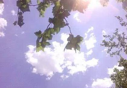 苏州最新11家医院,苏州中医院2022膏方门诊