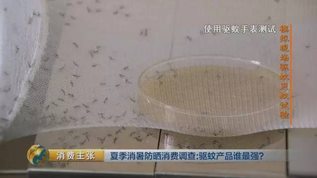 驱蚊贴驱蚊手环测评,驱蚊防蚊贴植物精油户外手环