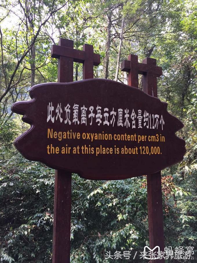 长沙到张家界凤凰五日游,深圳到张家界5天游攻略