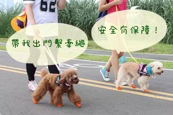 被猫狗咬伤没出血,被狗咬出血了一定要打狂犬疫苗吗