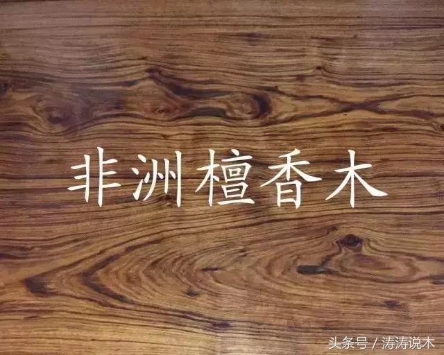 「识木」非洲檀香（檀香花梨）与螺穗木