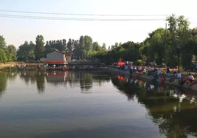 河南最近有哪些钓鱼比赛,南阳钓鱼竞技比赛