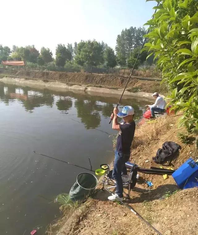 南阳古镇钓鱼比赛冠军,南阳行营钓具