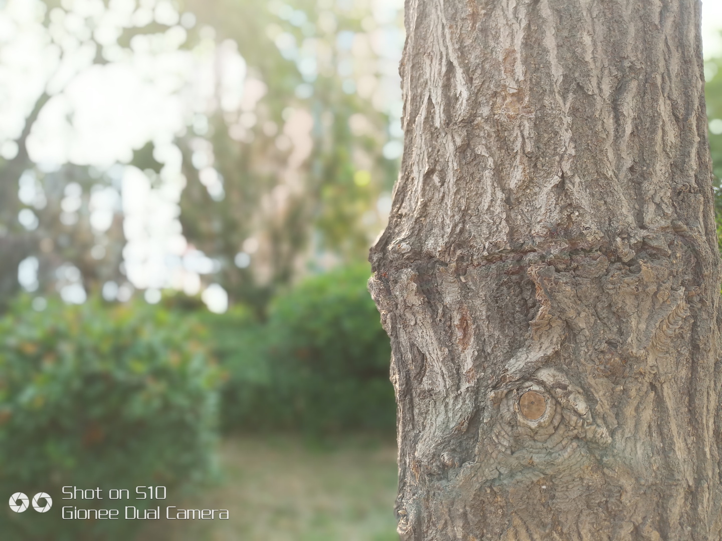 金立s10真的有四摄吗,四摄神机金立