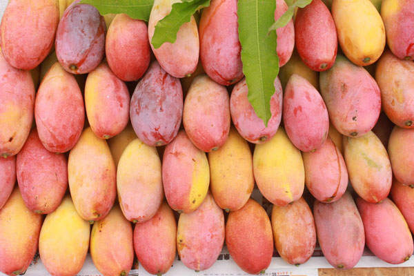 去云南旅游买玉手镯靠谱吗,去云南买玉手镯是真的吗