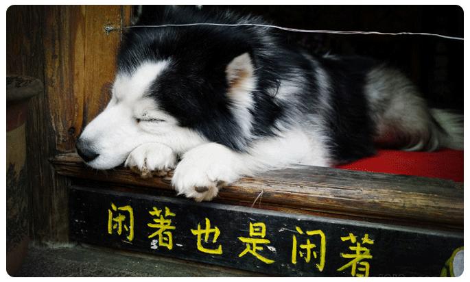 丽江这些有故事的小店,和那些江湖中的人!