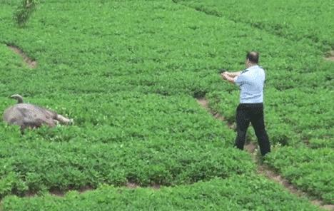 还好是女孩，如果是男孩会更痛