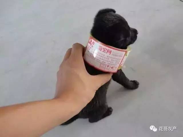 灰产如何规避打击,灰产处置