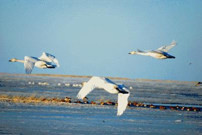 自媒体创业项目的经营风险有哪些,自媒体创业机会咨询